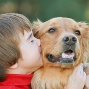 The Benefits of Raising a Pet