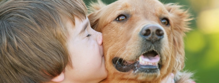 The Benefits of Raising a Pet